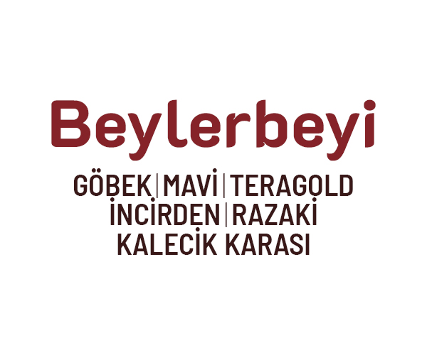 menu-image