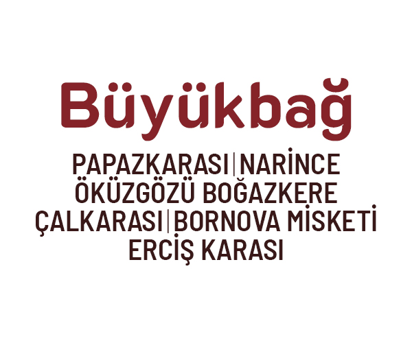 menu-image