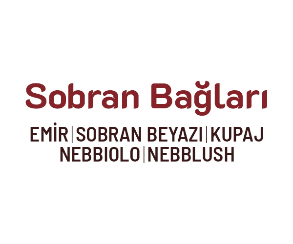 menu-image