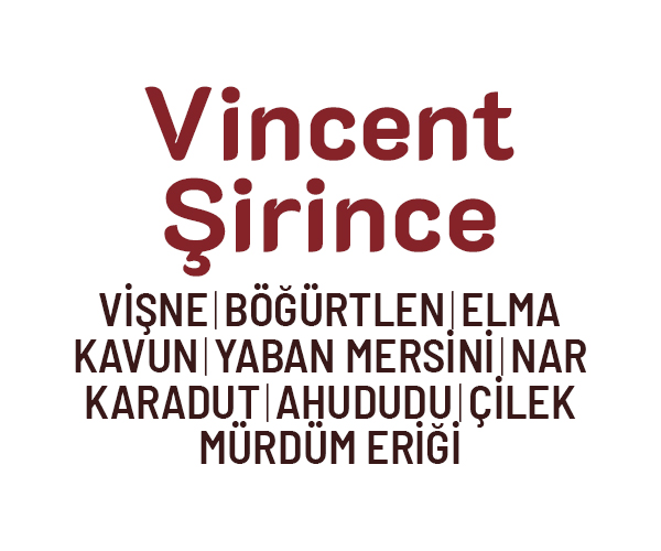 menu-image